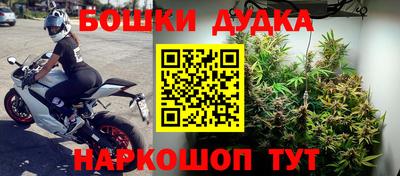 ГАЛЛЮЦИНОГЕННЫЕ ГРИБЫ Гусев