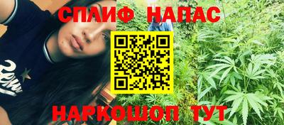 ГАЛЛЮЦИНОГЕННЫЕ ГРИБЫ Гусев