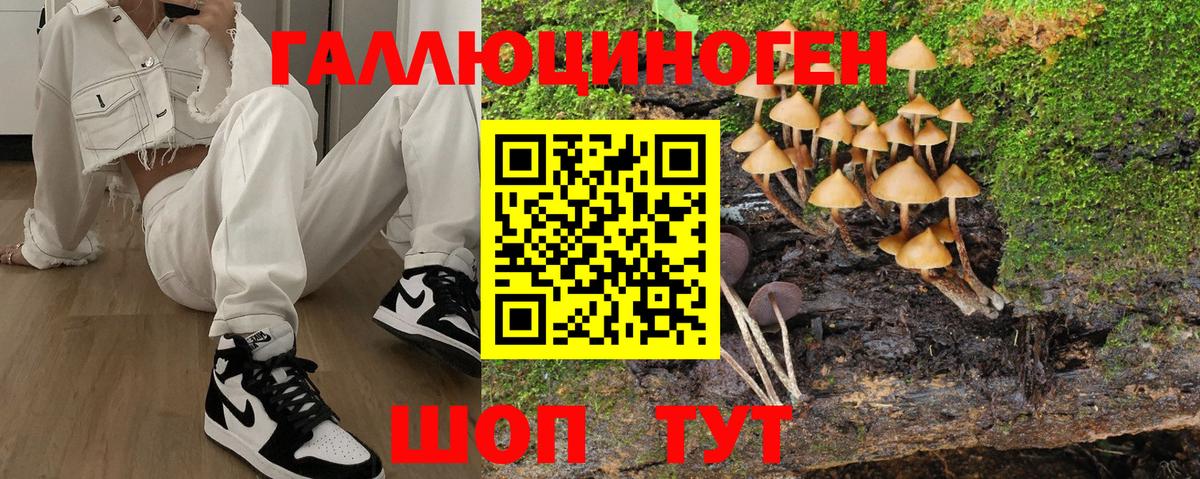Галлюциногенные грибы прущие грибы Муром