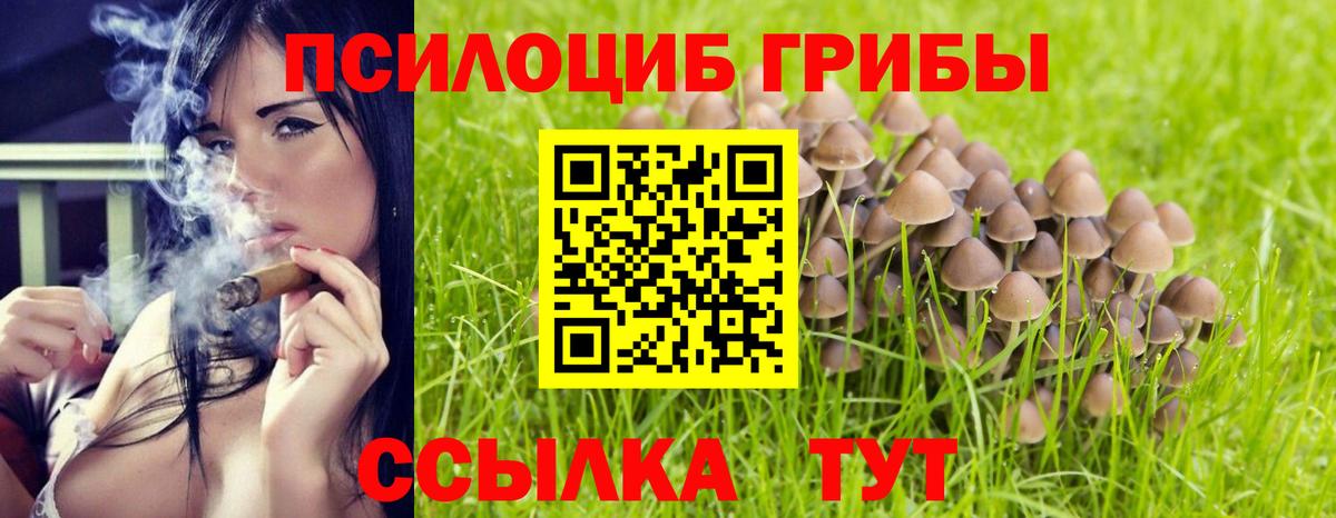 Муром  Псилоцибиновые грибы Psilocybe  Галлюциногенные грибы MAGIC MUSHROOMS  Вход с VPN 